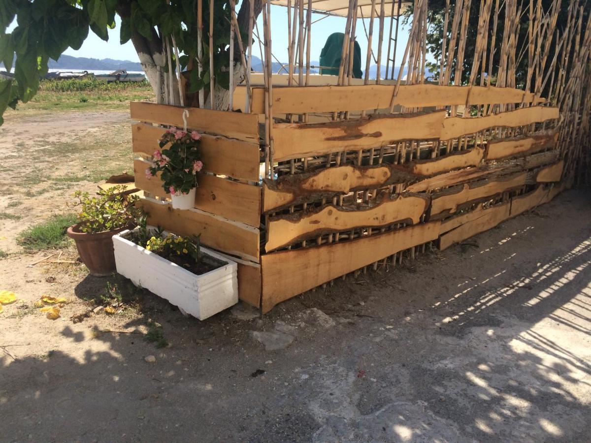 Petrakis Beach 레프킴미 외부 사진