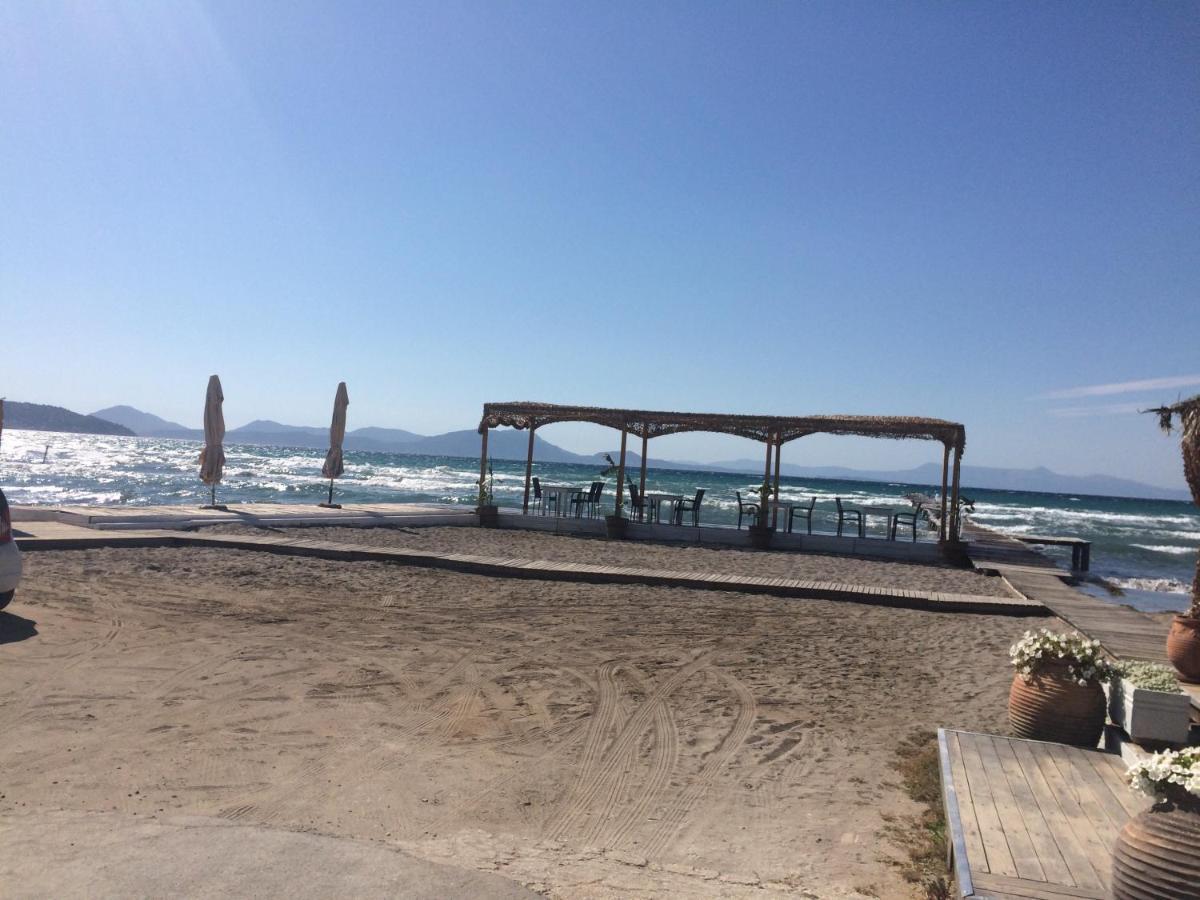 Petrakis Beach 레프킴미 외부 사진